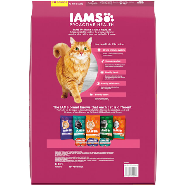 Iams proactive health senior adult cheap dry cat food