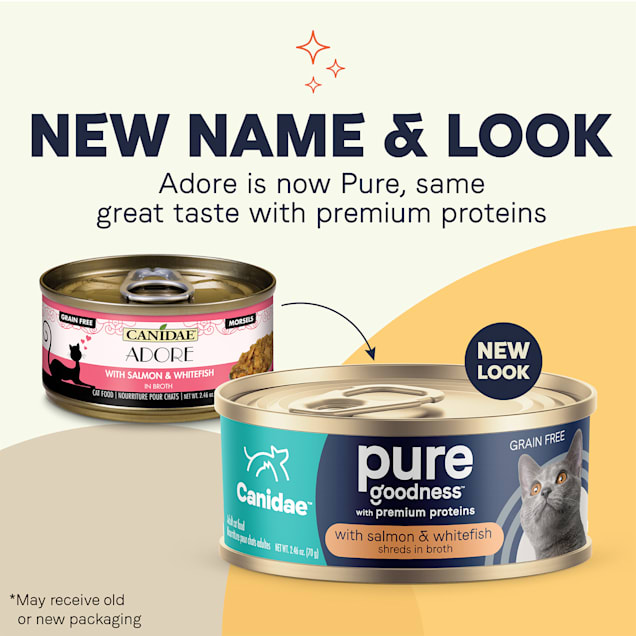 Canidae Pure Grain Free Salmon and Whitefish in Broth Wet Cat Food 2.46 oz