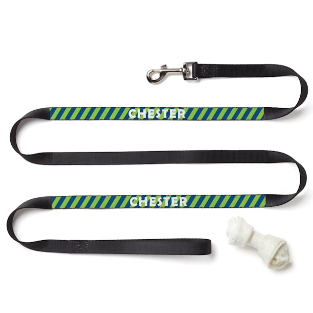 Custom Personalization Solutions Personalized Striped Dog Leash - Carousel image #1