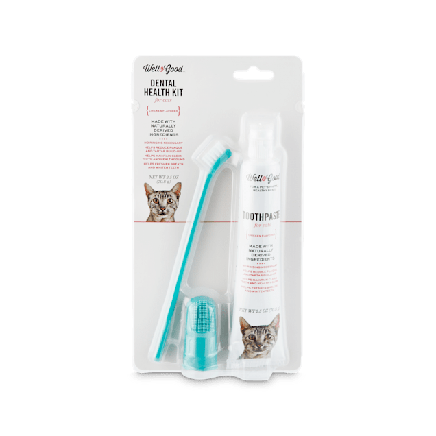 cat toothpaste and brush