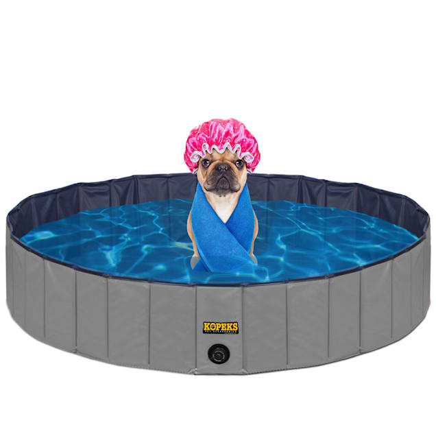 Petsmart sales dog pool