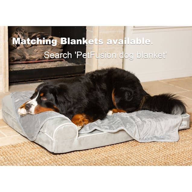 Petfusion better lounge dog bed cheap