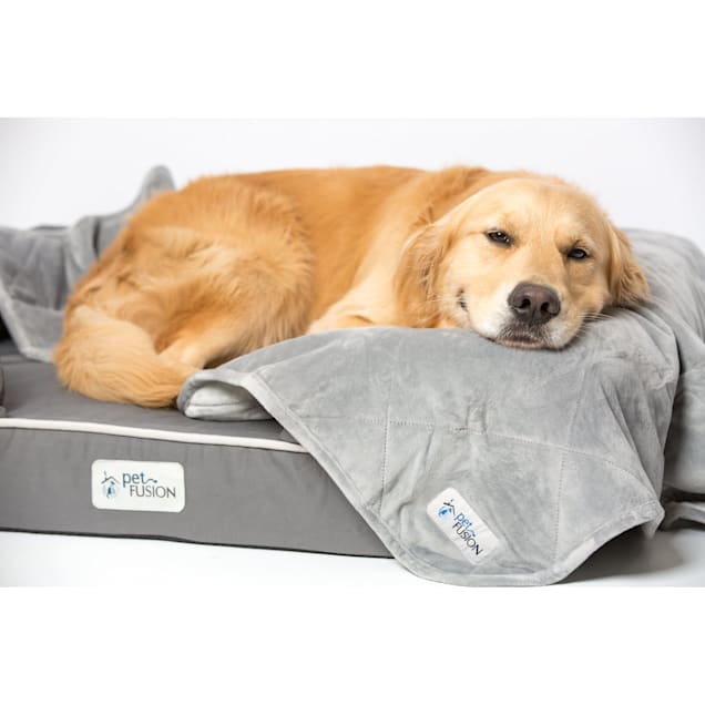 Petfusion dog blanket top
