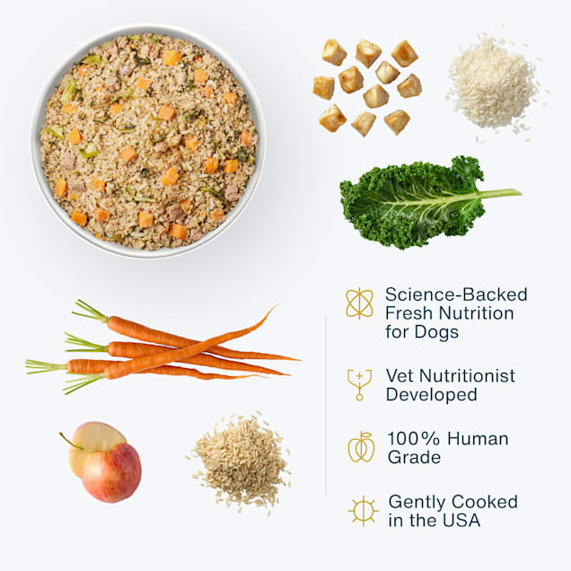 JustFoodForDogs Daily Diets Chicken & White Rice Frozen Dog Food, 18 oz