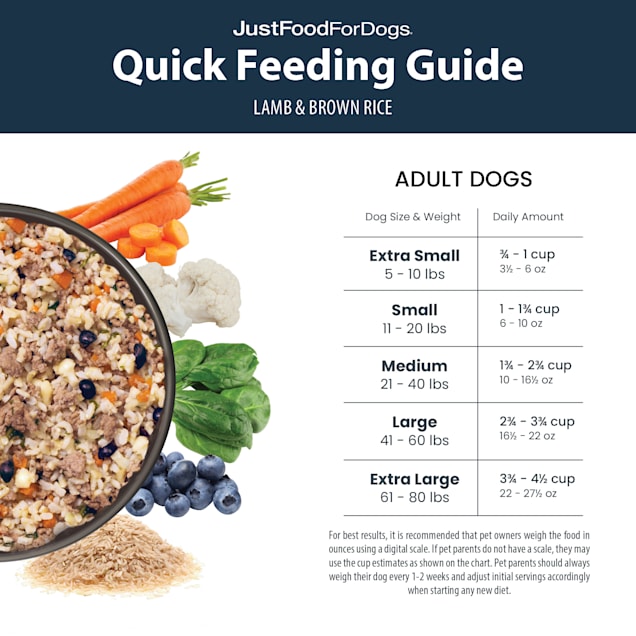 JustFoodForDogs Daily Diets Lamb Brown Rice Frozen Dog Food 72 oz. Case of 7