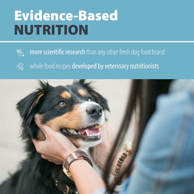 JustFoodForDogs Vet Support Diets Hepatic Support Low Fat Frozen