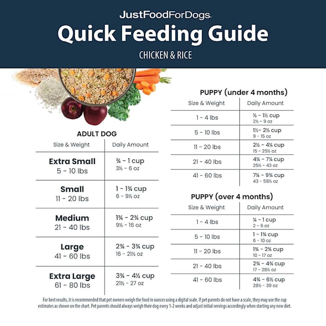 JustFoodForDogs Daily Diets Chicken White Rice Frozen Dog Food 72 oz. Case of 7