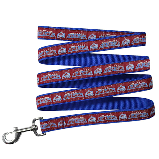 Avalanche dog collar Clearance