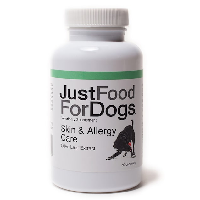 Dog allergy supplement deals