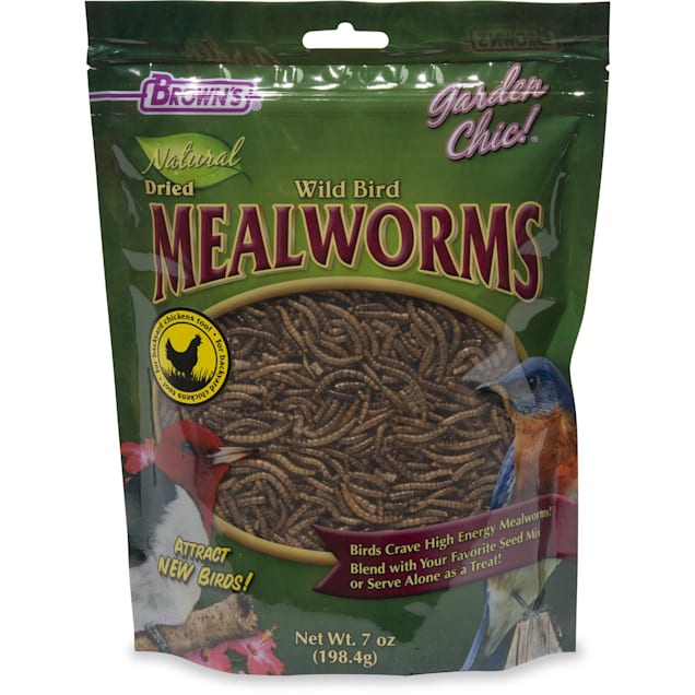 Wild Birds Delicious Meal Worms for Chickens 100 Percent Natural Dried Mealworms FROLIC WINGS 3 lb Natural Worms Fish Bulk Mealworms Reptiles 
