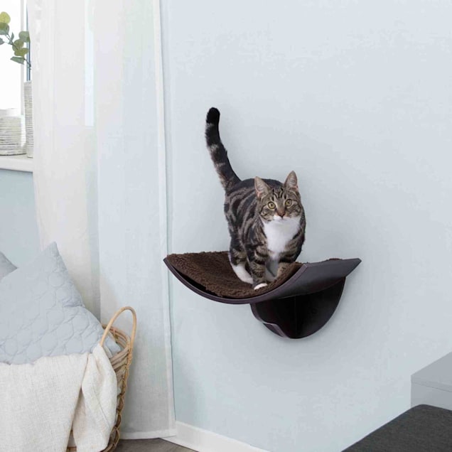 Trixie wall top mounted cat bed
