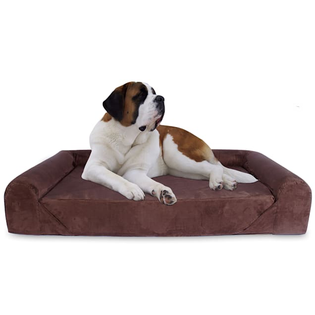 Petco dog beds orthopedic outlet