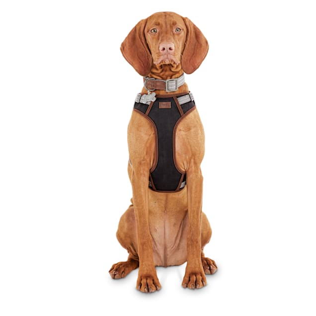 Reddy dog harness website clearance
