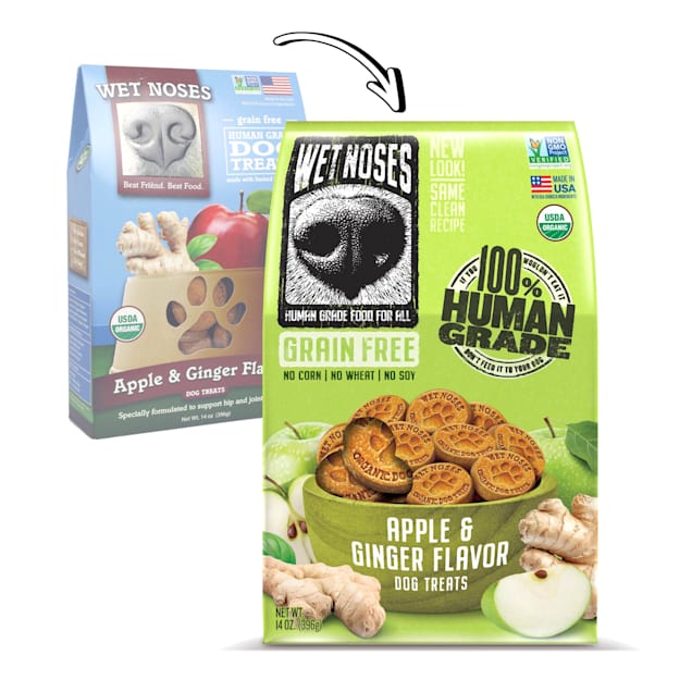 Wet Noses Grain Free Apple Ginger Dog Treats 14 oz