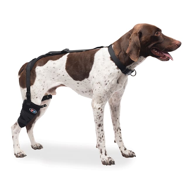 Petco knee brace for dogs sales
