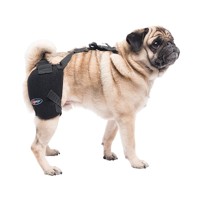 Cool packs for dogs 2025