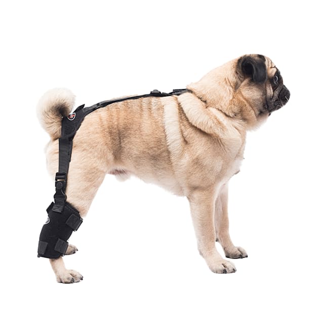 Caldera pet hot sale therapy wrap