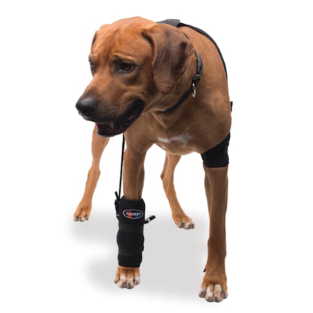 Caldera Hot Cold Therapy Wrap with Gel for Dog Carpals Large