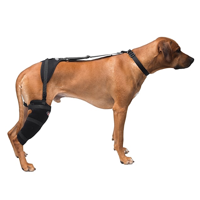 Joefnel Dog Knee Brace - Joint Health Support and Leg Brace for