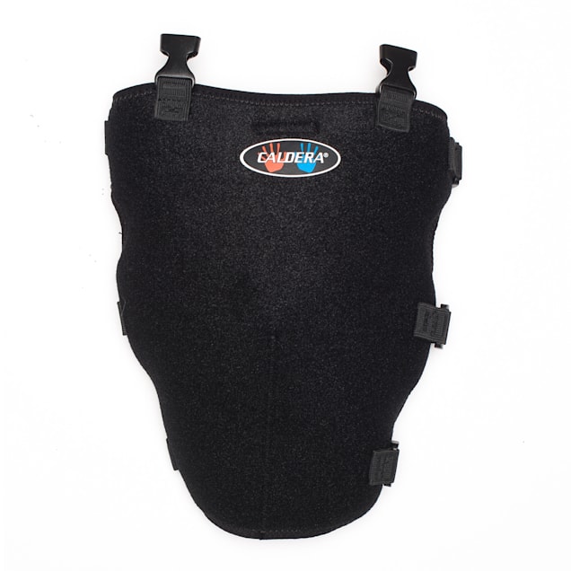 Petco dog leg brace shop