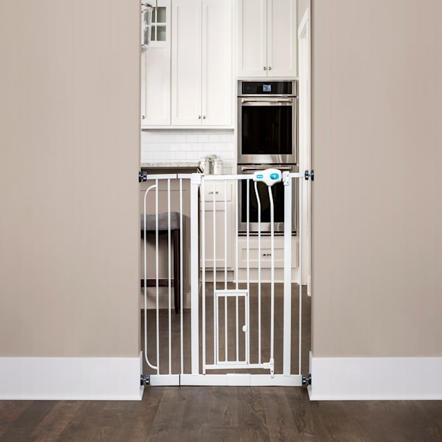 Carlson pet shop gate extra wide