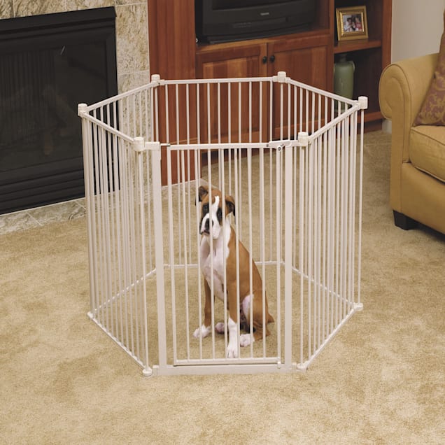 Top paw super shop wide convertible pet gate