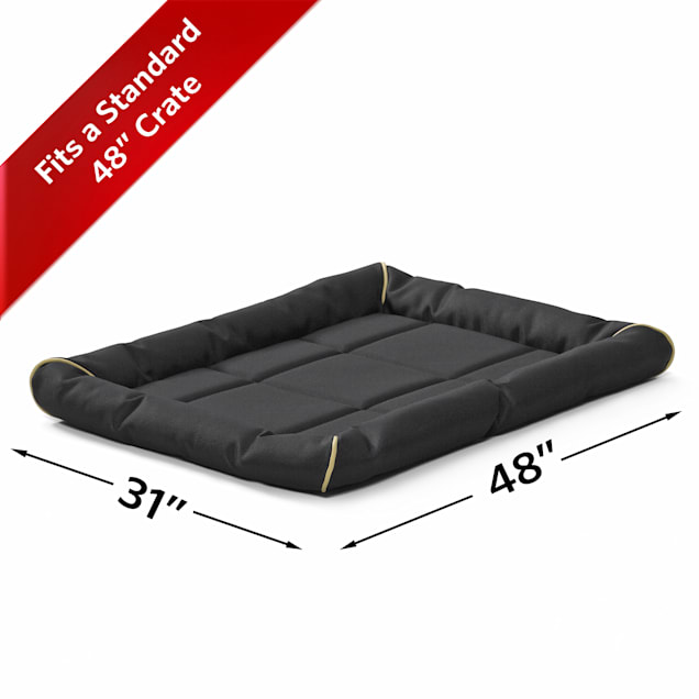 Midwest Quiet Time Maxx Black Dog Bed, 48.5 L X 31 W | Petco