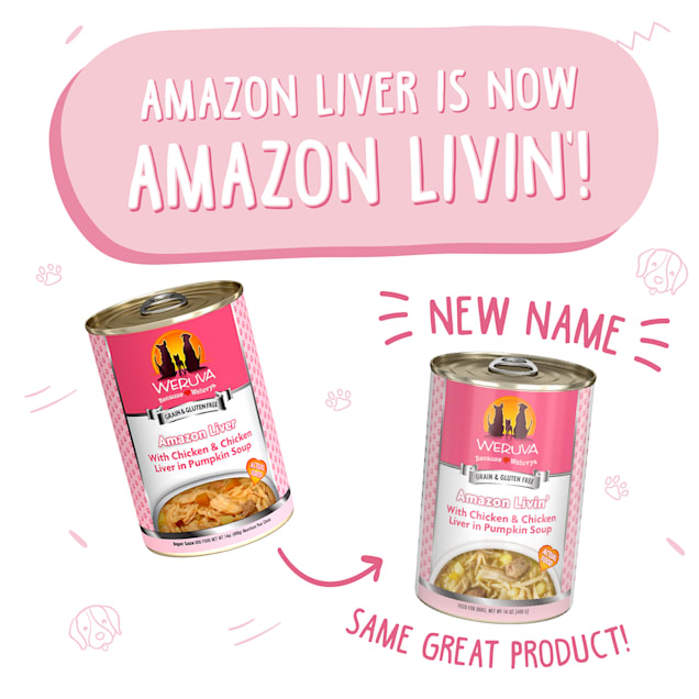 Weruva Classics Amazon Livin with Chicken Chicken Liver in Pumpkin Soup Wet Dog Food 14 oz. Case of 12