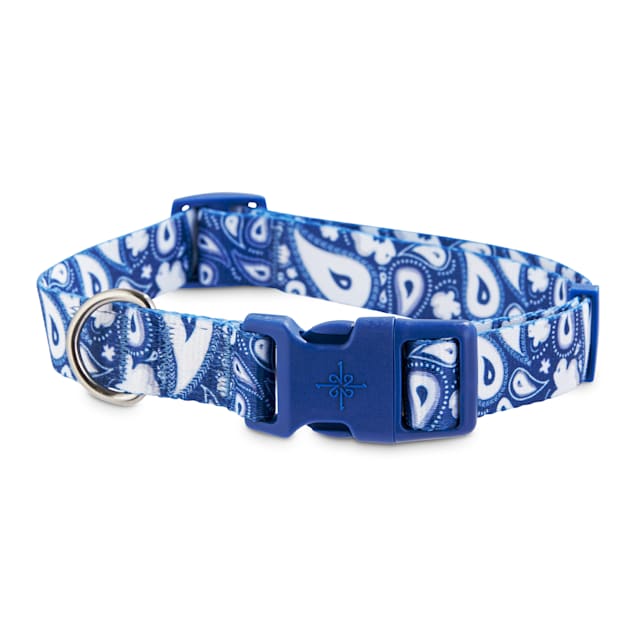 Good2Go Blue Paisley Dog Collar, Large - Carousel image #1
