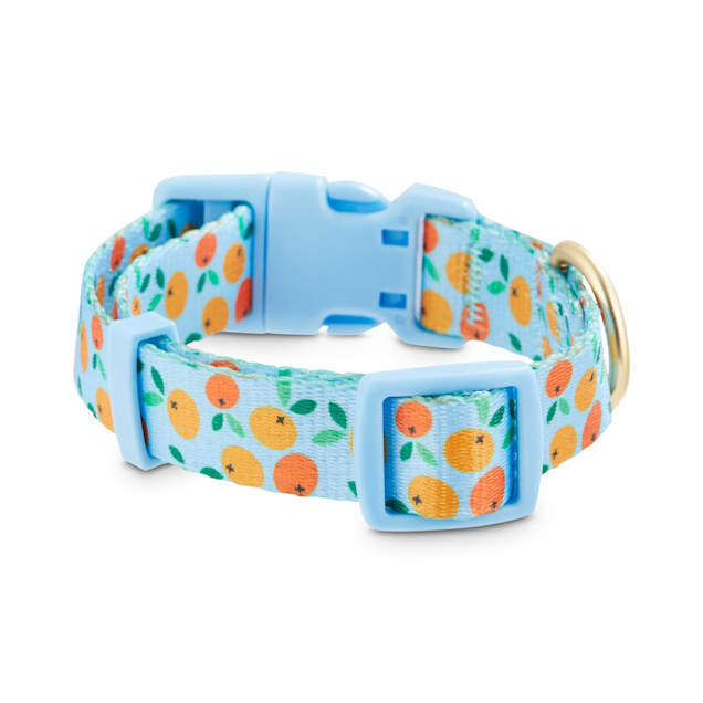 Fruit shop dog collar
