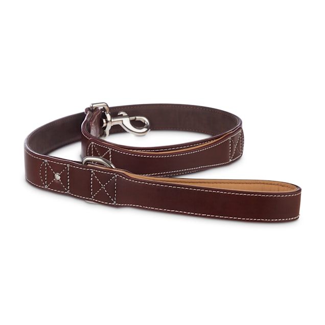 Petco leather leash clearance