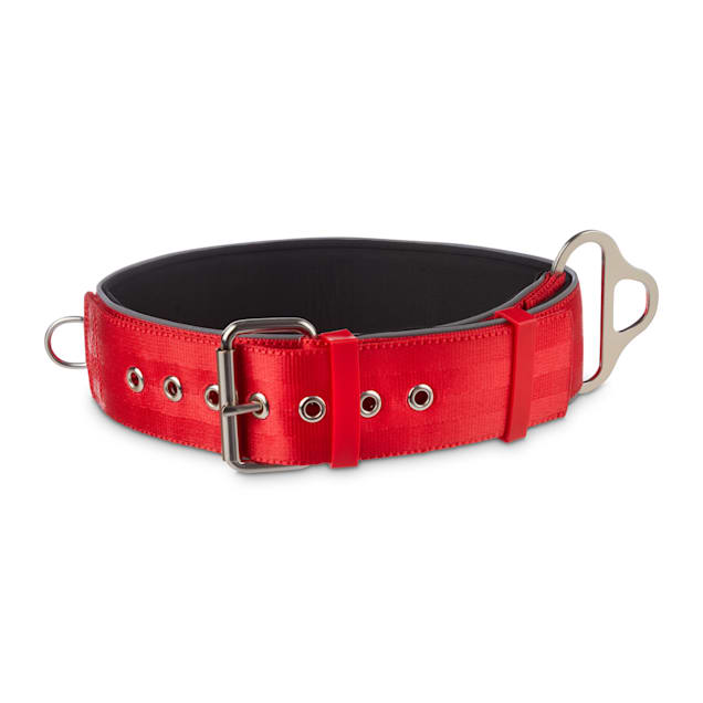 Xxxl dog collar clearance