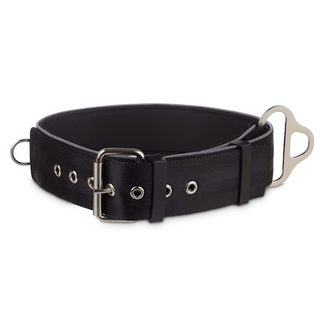 Big dog collar