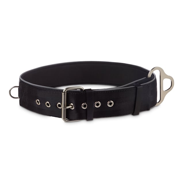 Black top dog collars