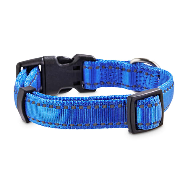 Pack leader collar petco clearance