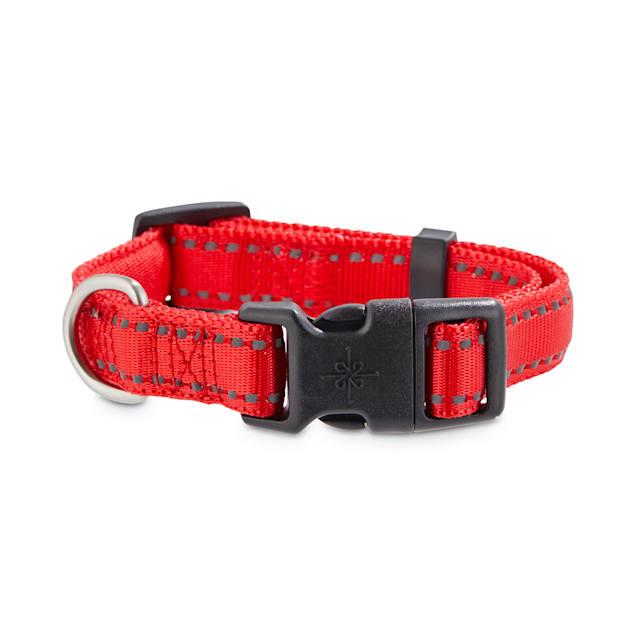 Good2Go Reflective Red Dog Collar, Small Petco