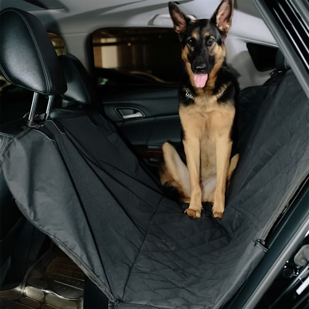 Dog car hammock petco on sale