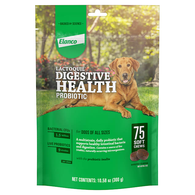 Iams probiotic deals dog food