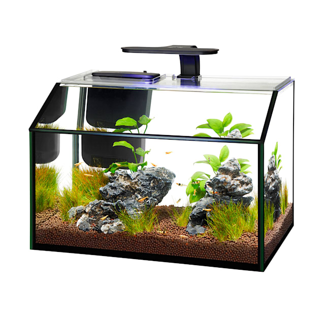 aqueon led 8 75 gallon shrimp aquarium kit