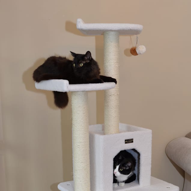 Armarkat Classic Model B6203 Real Wood Cat Tree, 62" H - Carousel image #1