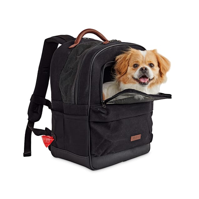 Backpack to put your dog in clearance