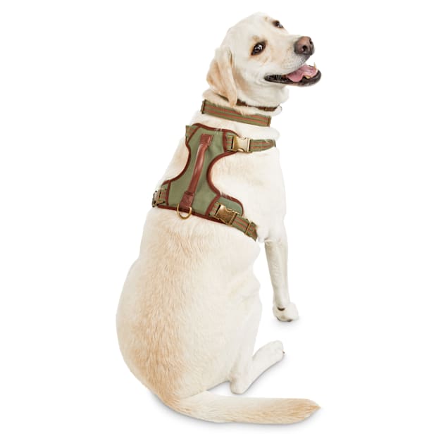 Petco dog harness and leash clearance