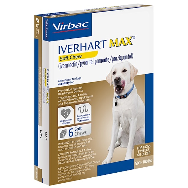 Petco roundworm medicine top