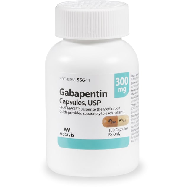 gabapentin generic release date