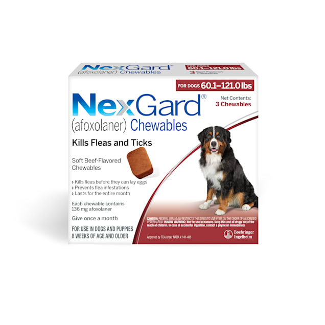 NexGard Chewables for Dogs 60.1 to 121 lbs, 3 Month Supply - Carousel image #1