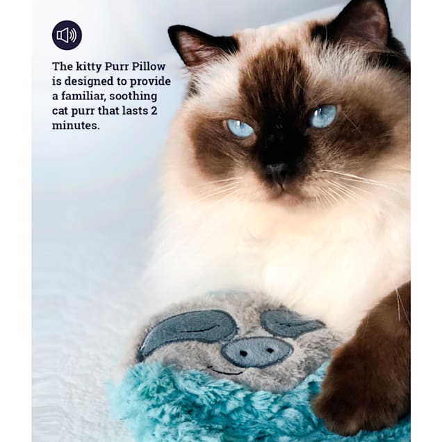 Petstages Purr Pillow Snoozin Sloth Cat 