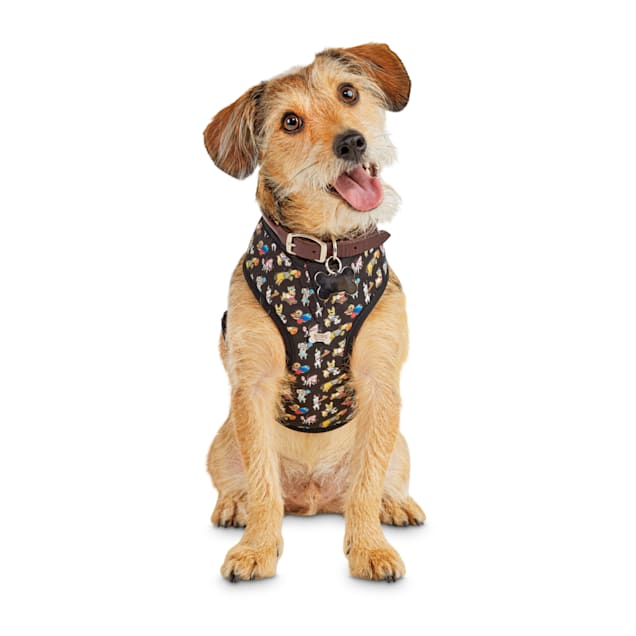 Bobs dog collars clearance
