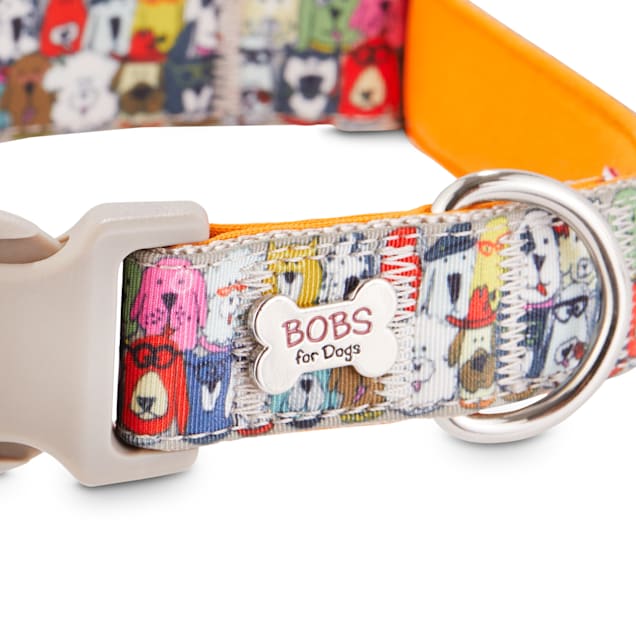 Bobs skechers dog collar Clearance