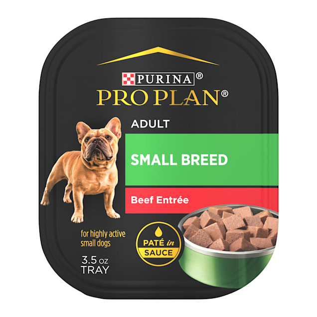 Purina Pro Plan Grain Free, High Protein Small Breed Pate Focus Beef Entree in Sauce Wet Dog Food, 3.5 oz., Case of 12 - Carousel image #1