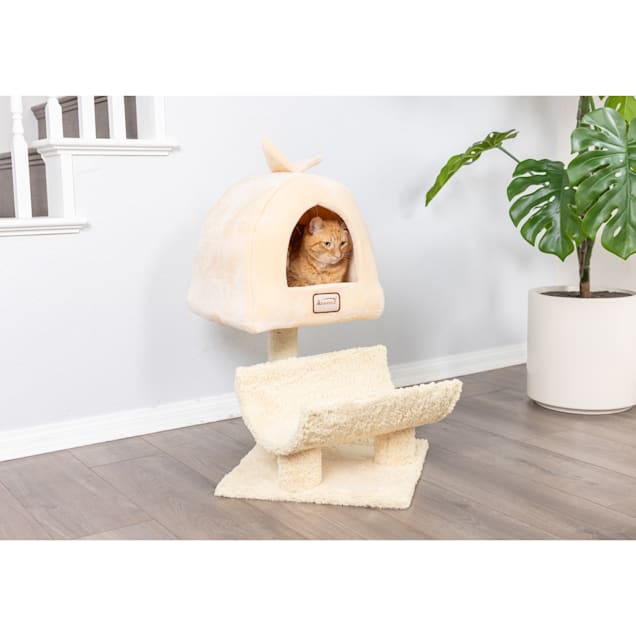 Armarkat Goldenrod Premium Real Wood Cat Tree Model X3007, 31" H - Carousel image #1